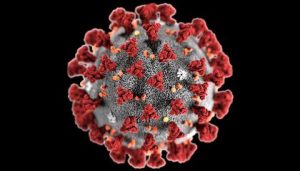 uExamS Responds to Coronavirus Crisis